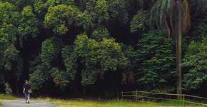 Agora é oficial: Prefeitura de São Paulo autoriza criação do Parque Municipal Augusta