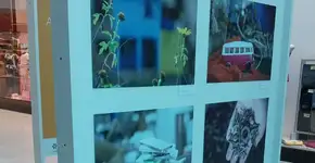 Exposição Gratuita: ‘Retratos da Terra’ chega ao Mauá Plaza Shopping