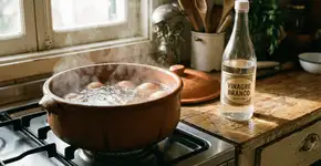 Foto: (Imagem sem texto alternativo disponivel ID [2751387])