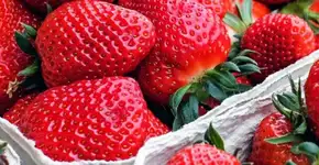 Consumir morango reduz o risco de demência