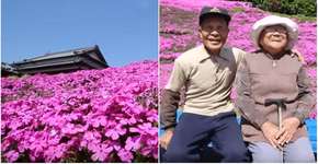 Marido planta milhares de flores para esposa com deficiência visual