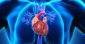 Foto: (iStock/Nerthuz)