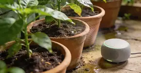 Foto: (Imagem sem texto alternativo disponivel ID [2699208])