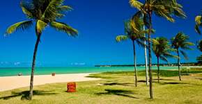 Foto: (Toddy/VisitBrasil)