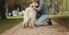 Foto: (Imagem sem texto alternativo disponivel ID [2711708])