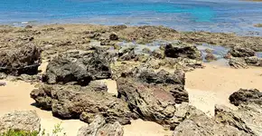 Foto: (Maíra Campos)