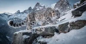 Foto: (Imagem sem texto alternativo disponivel ID [2734273])