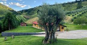 Serra da Mantiqueira tem tour com degustação de azeite