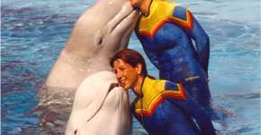 Foto: (Imagem sem texto alternativo disponivel ID [518789])