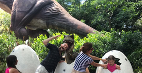 Foto: (Divulgação/Dreamland)