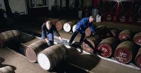 Foto: (Imagem sem texto alternativo disponivel ID [1896099])