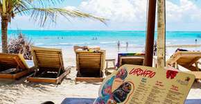 Foto: (Imagem sem texto alternativo disponivel ID [1501085])