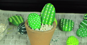 Cactos de pedra: os melhores amigos que você pode ter em casa