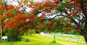 Pacotes de hospedagem para amantes do ecoturismo