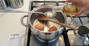 Foto: (Imagem gerada por IA/Gemini)