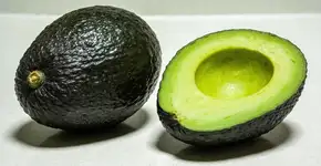 Foto: (Imagem sem texto alternativo disponivel ID [2713012])