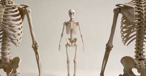 Foto: (Imagem sem texto alternativo disponivel ID [2697871])