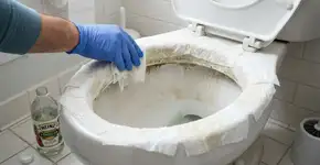 Não é água sanitária. Limpar o interior do vaso sanitário com ‘isso’ o mantém limpo por um mês