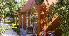 Foto: (Victor Carvalho/Centro de Portugal)