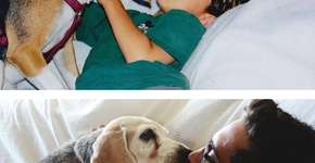 Foto: (Imagem sem texto alternativo disponivel ID [1257432])