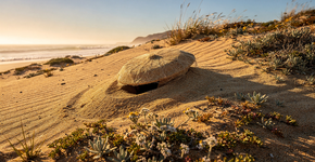 Foto: (Imagem sem texto alternativo disponivel ID [2735173])