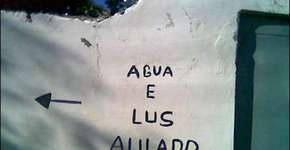 Foto: (Imagem sem texto alternativo disponivel ID [869815])