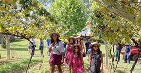 Foto: (Divulgação)