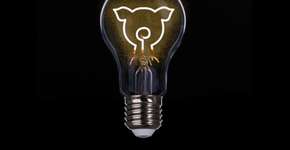 Energia vegana é produzida com vento e luz solar