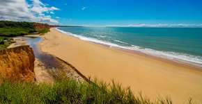 Foto: (Divulgação/PMP)