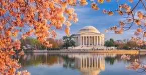 Foto: (Sean Pavone/iStock)