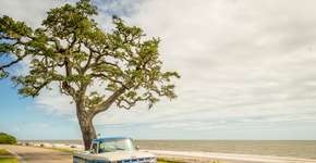 Foto: (Divulgação/TSUSA)