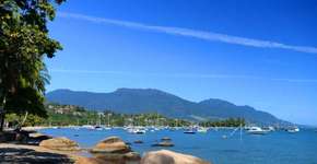 Foto: (Getty Images/iStockphoto)