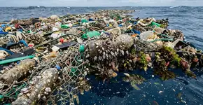 A Grande Mancha de Lixo do Pacífico está se tornando um continente flutuante habitado por criaturas marinhas