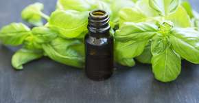 Foto: (iStock/Catalina-Gabriela Molnar)