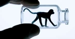 Foto: (Imagem sem texto alternativo disponivel ID [1834893])