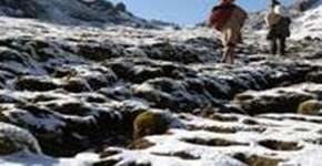 Foto: (Imagem sem texto alternativo disponivel ID [1837667])