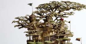 Foto: (Imagem sem texto alternativo disponivel ID [238152])