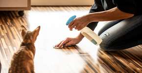 Foto: (CasarsaGuru/istock)