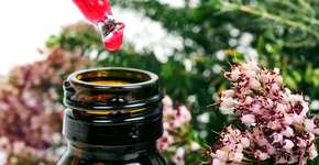 Foto: (Imagem sem texto alternativo disponivel ID [847885])