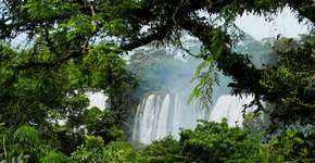 Foto: (Henrique Rangel)