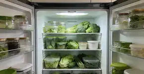 Foto: (Imagem sem texto alternativo disponivel ID [2700008])