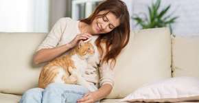 6 cuidados essenciais com gatos idosos