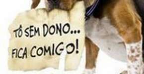 Foto: (Imagem sem texto alternativo disponivel ID [226680])