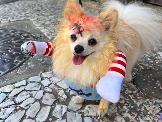 Em Curitiba, Zombie Walk acontece no domingo de Carnaval