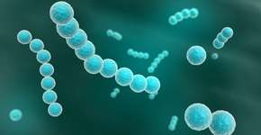 Foto: (Troscha/istock)