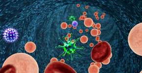 Foto: (Ugreen/istock)