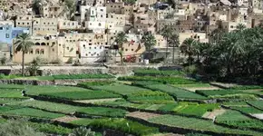 Uma viagem reveladora pelos oásis de Omã