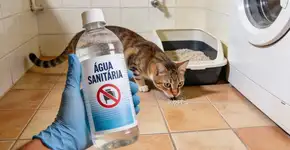 Foto: (Imagem sem texto alternativo disponivel ID [2679143])