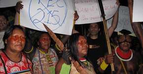 Foto: (Imagem sem texto alternativo disponivel ID [988950])