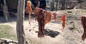 Homem é resgatado de trabalho análogo à escravidão em GO